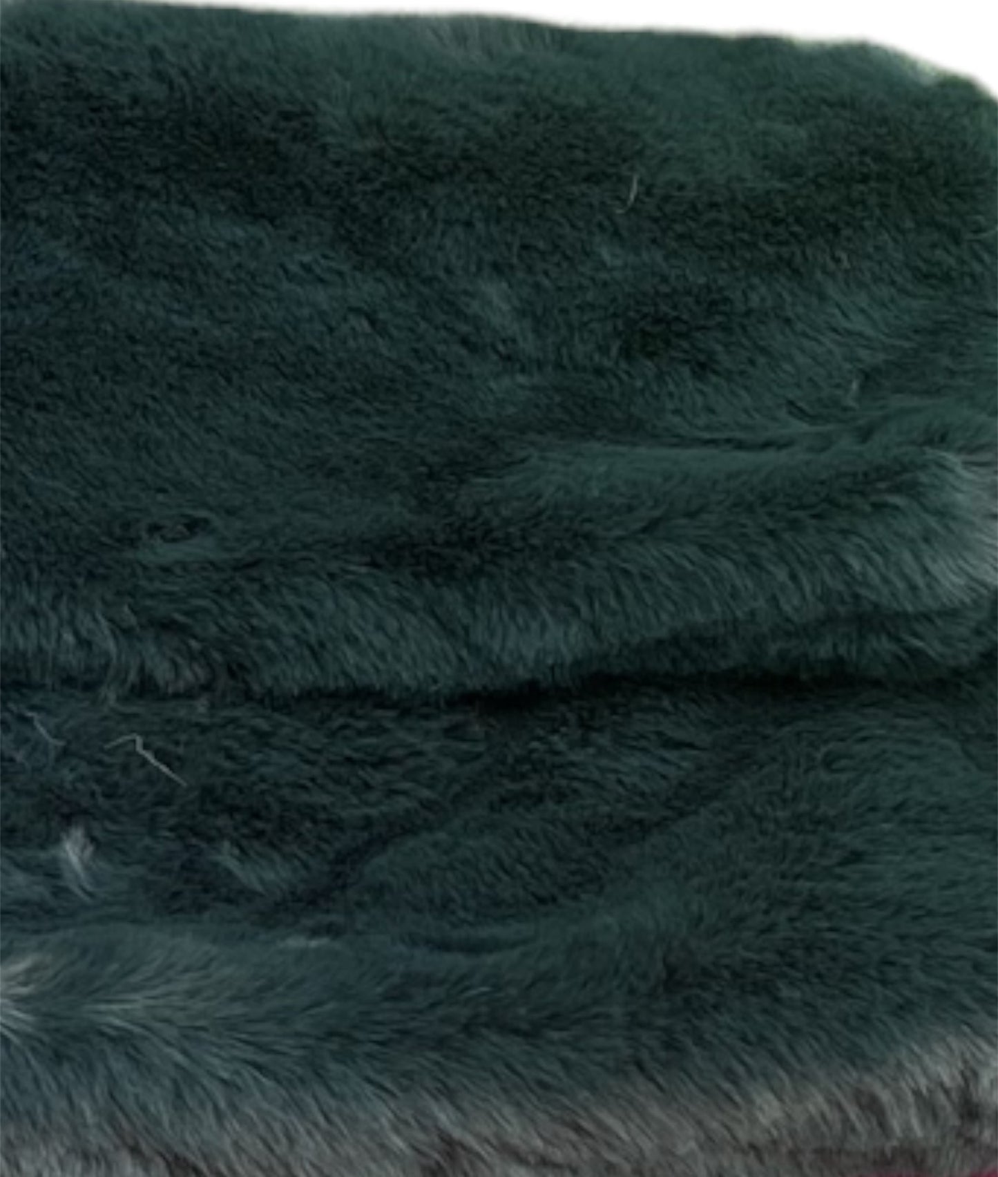 PELOSA